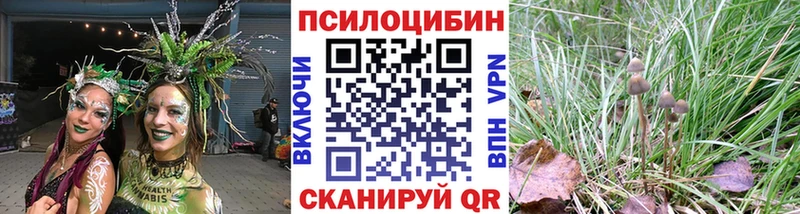 Галлюциногенные грибы мухоморы  наркотики  Пойковский 