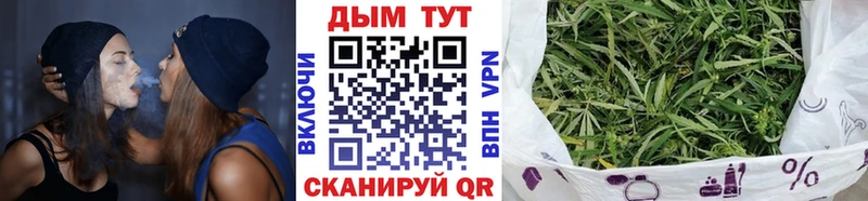 Канабис сатива Пойковский